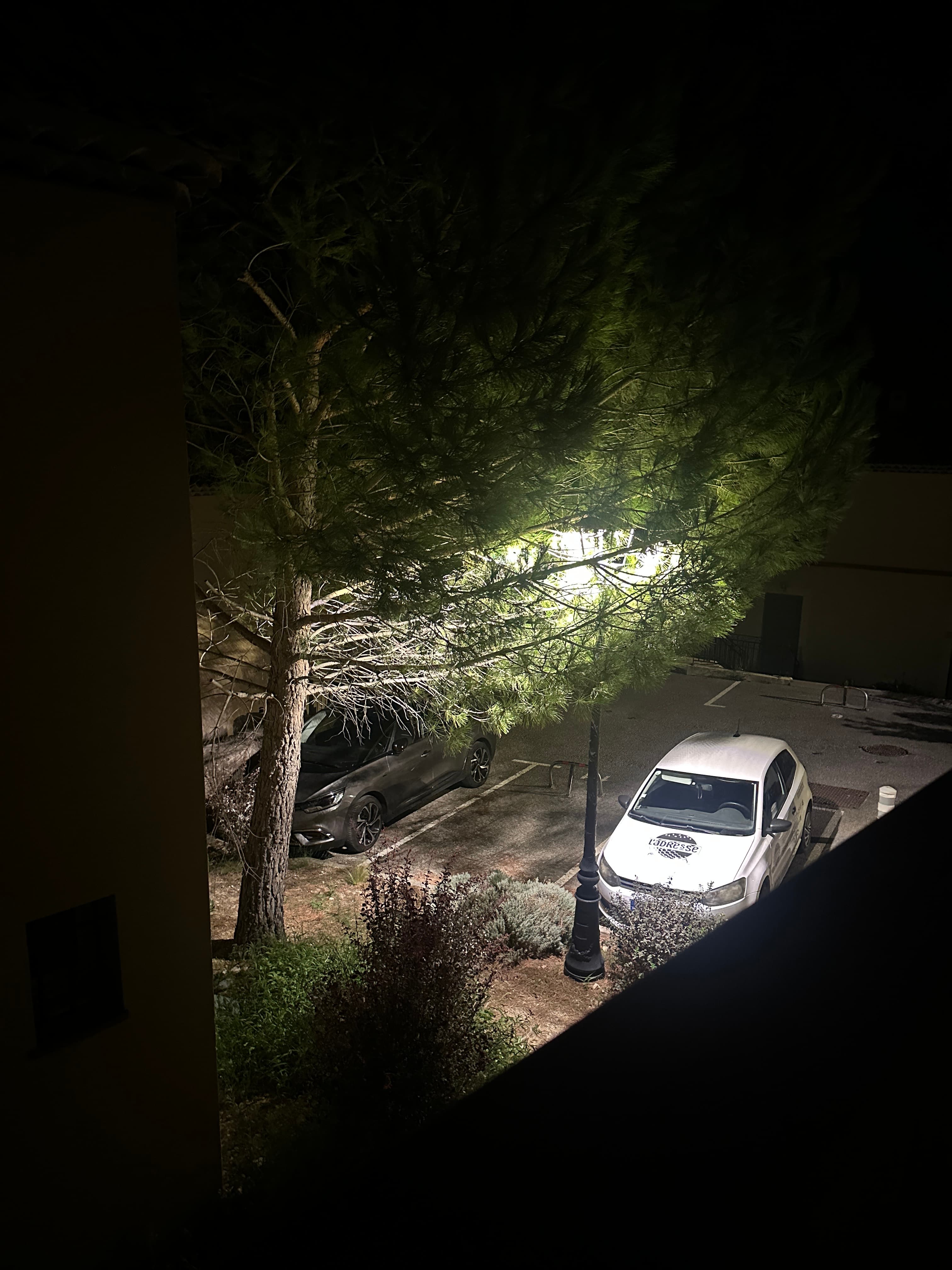 Jour 45 — Avancer sans même marcher